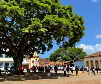 Descubra a Melhor Época para Visitar Camaragibe Descubra a Melhor Época para Visitar Camaragibe