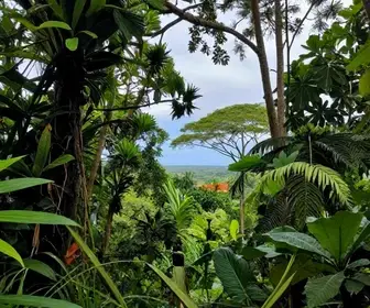 Descubra as Trilhas Guiadas em Camaragibe: Natureza e Aventura Descubra as Trilhas Guiadas em Camaragibe: Natureza e Aventura