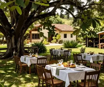 Descubra Restaurantes com Área Verde em Aldeia: Uma Experiência Gastronômica ao Ar Livre Descubra Restaurantes com Área Verde em Aldeia: Uma Experiência Gastronômica ao Ar Livre