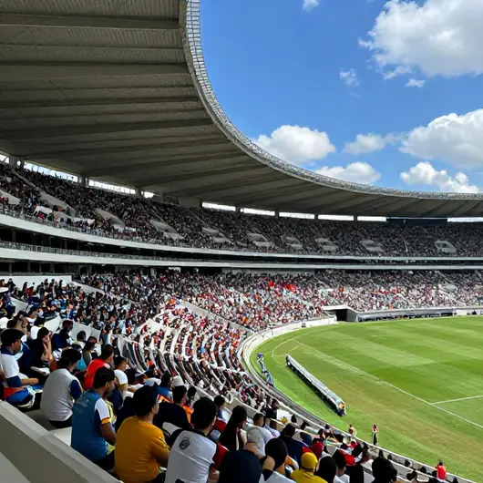 Estádio Municipal Professor Luiz Alexandrino: O Coração do Esporte Local Estádio Municipal Professor Luiz Alexandrino: O Coração do Esporte Local