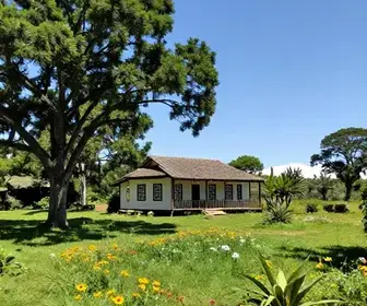 Explore Casas para Alugar em Aldeia e Desfrute da Natureza