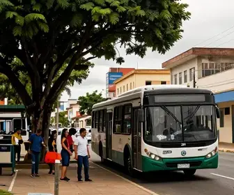 Guia Prático de Transporte: Andando de Ônibus em Camaragibe