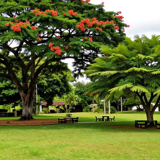 Sítio Banguê Eventos e Ecoturismo: Um Destino Imperdível Sítio Banguê Eventos e Ecoturismo: Um Destino Imperdível